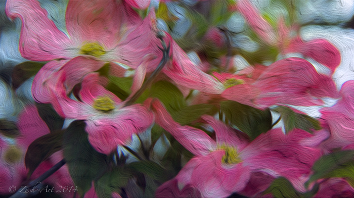 Red Dogwood Blossoms