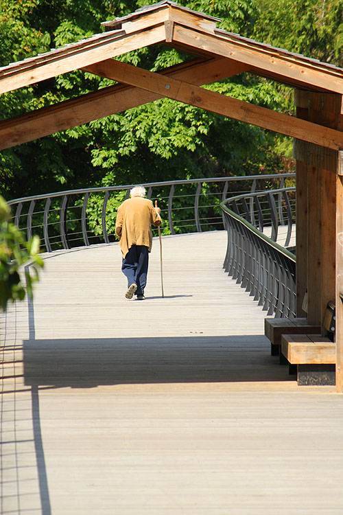 Stroll on the boardwalk