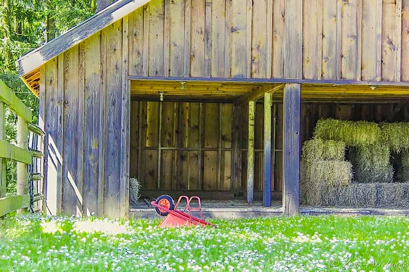 Horse Stable