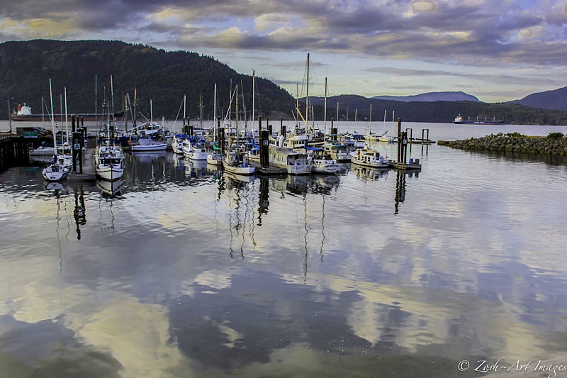 View from the Cow Bay Pub