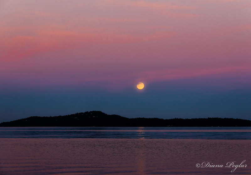Diana Peglarcherry point august moon/sunset