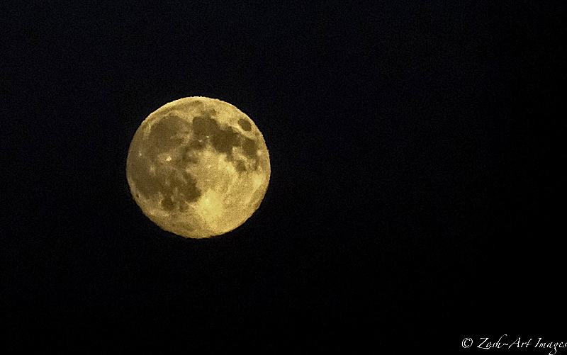 Zosia MillerSupermoon