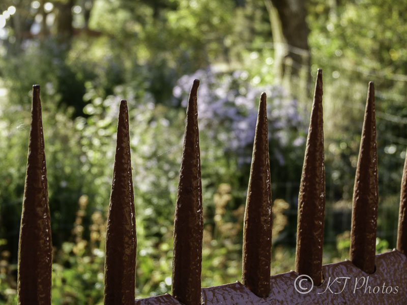 Rusty Fence