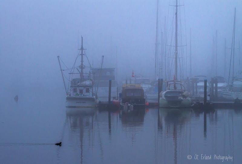 Carl ErlandWinter Days can be Soupy Days