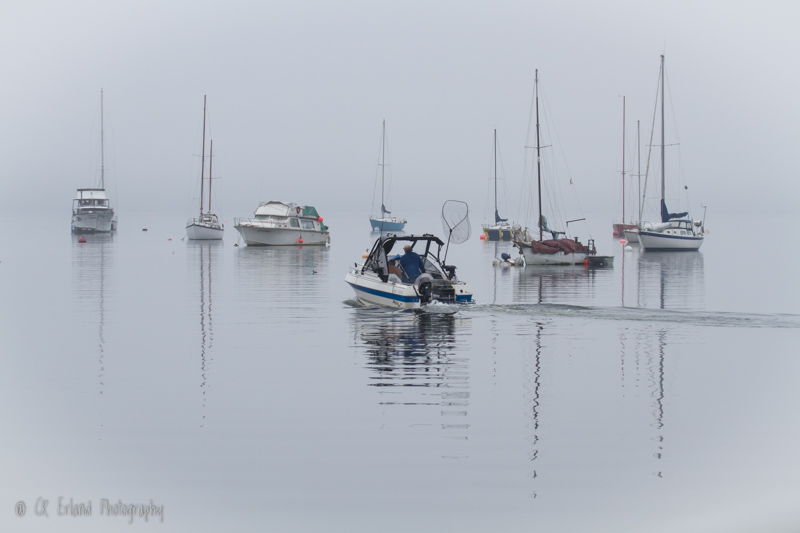 Racine ErlandFoggy Departure