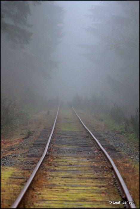 Leah Jansen<br>Railroad Fog