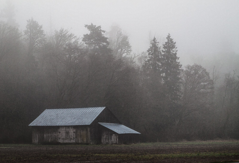 Racine ErlandFoggy Scene