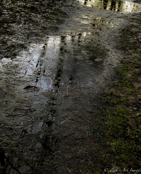 Zosia Miller2014 Theme Challenge-WeatherReflections in the Puddles