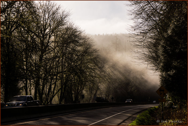 Ian FaulksMorning Mist