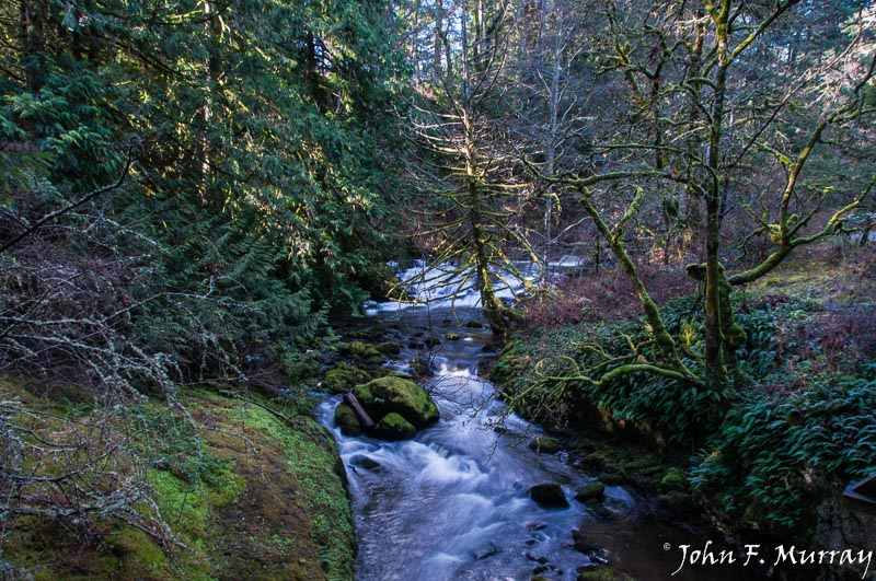 John MurrayBilston Creek