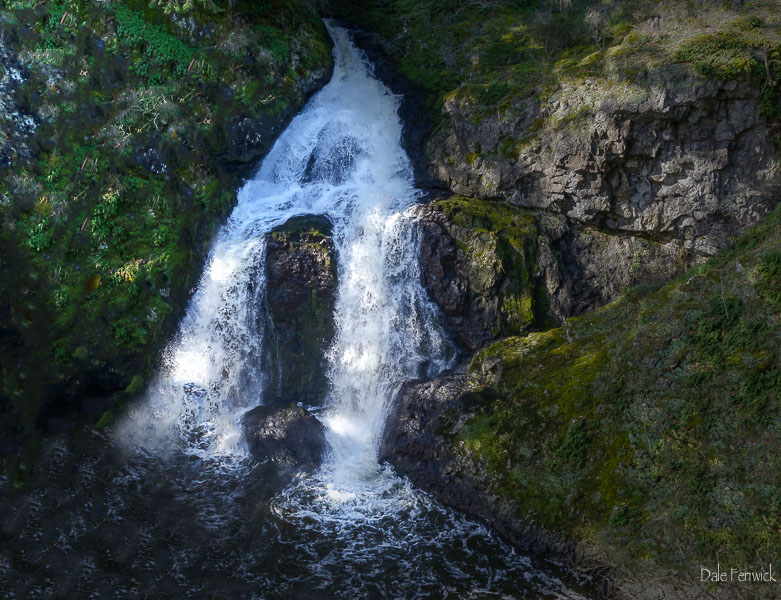 Dale FenwickThe Falls