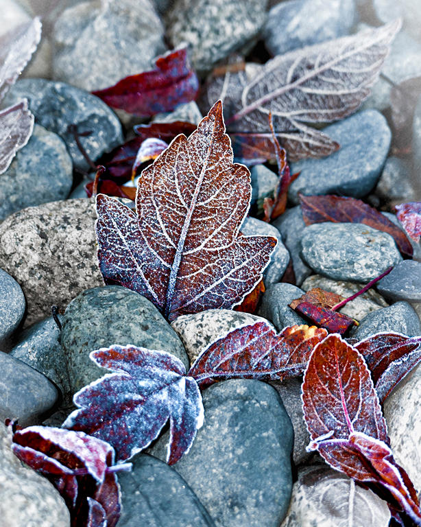 Etched in Stone - Rachel Penney - CAPA 2015 Pacific Zone Print Competition - Points: 21