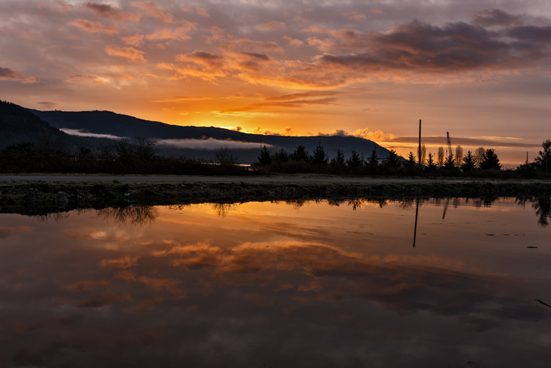 M.E.RosenCowichan Bay Estuary Dawn