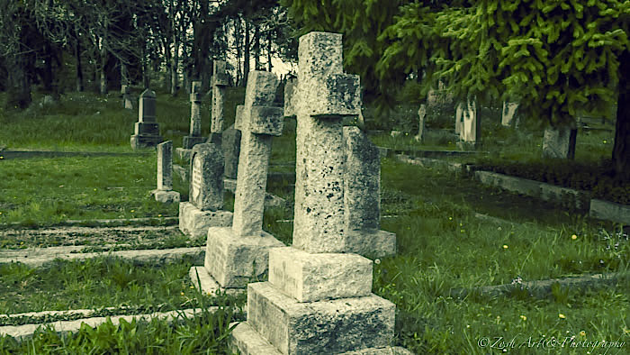 Zosia MillerSt. Peter's Cemetery