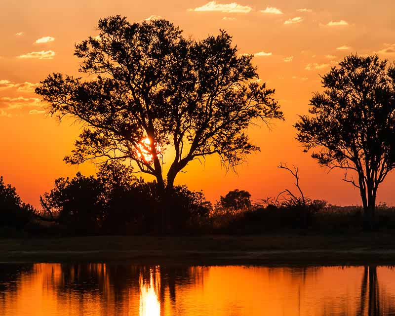 John MurrayJune 2015 Evening FavouritesTheme: SunriseBotswana Sunrise - 2nd