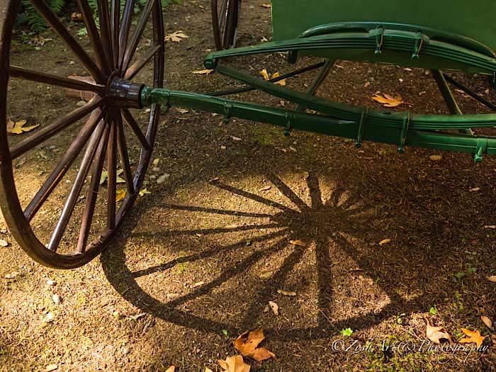 Zosia Miller Wagon Wheel