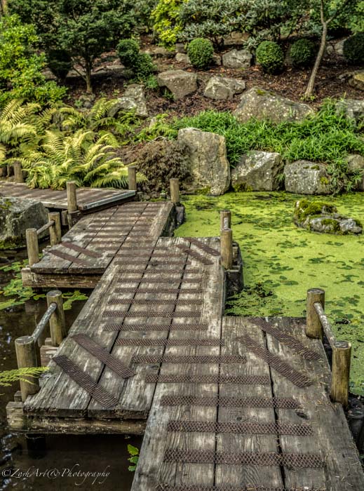 Zosia MillerBotanical Boardwalk