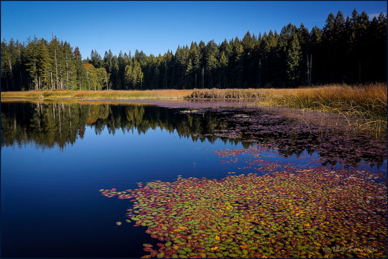 Ian FaulksChemainus Lake postcard