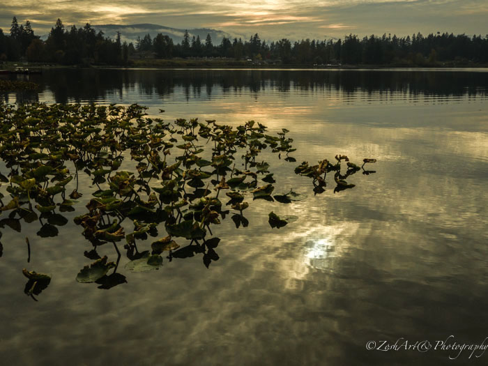 Zosia Miller  Quamichan Lake Sunset
