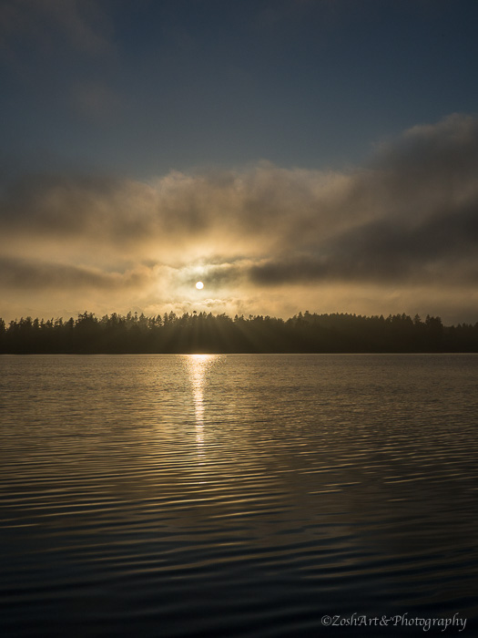 Zosia Miller  Quamichan Lake Fog 3