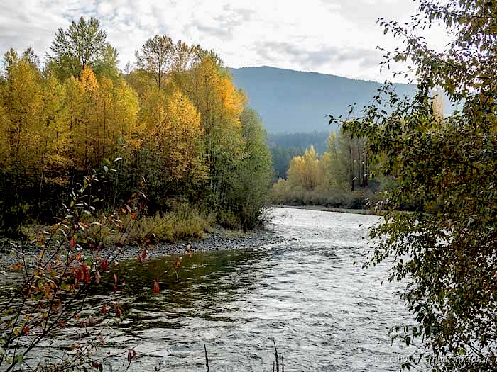 Zosia Miller  Cowichan River