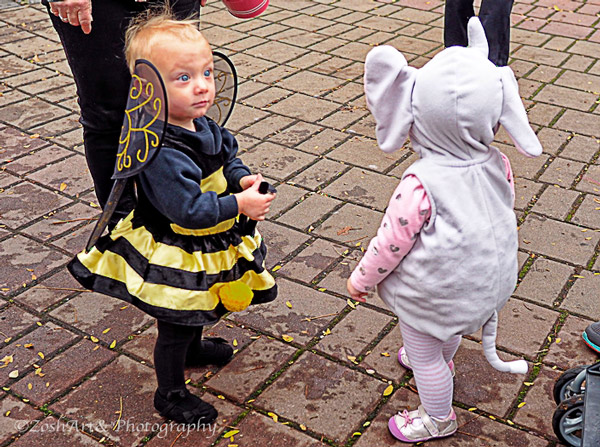 Zosia Miller Bumble Bee Meets Elephant