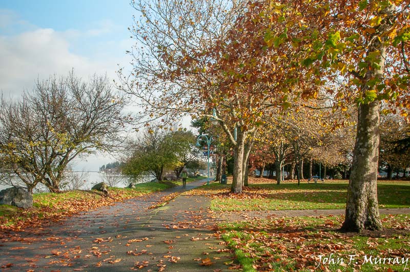 John F MurrayWaterfront Walk Mafeo-Sutton Park-.jpg