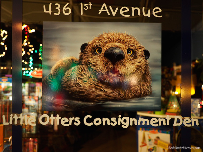 Zosia Miller2014 Theme Challenge-The Sign SaysLittle Otter Consignment