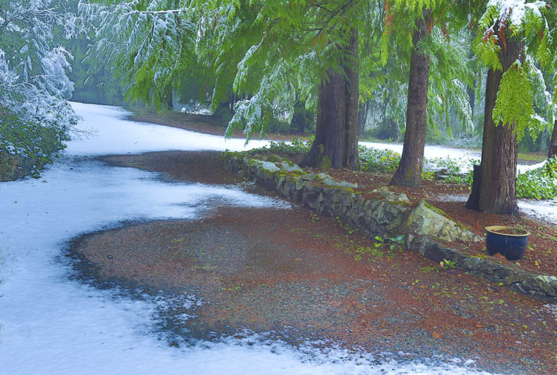 Don Brown First Snowfall