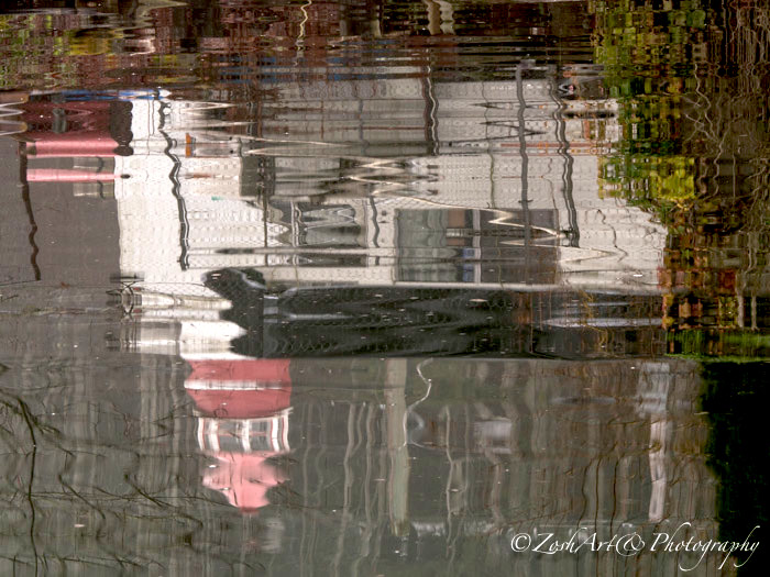 Zosia Miller Reflections