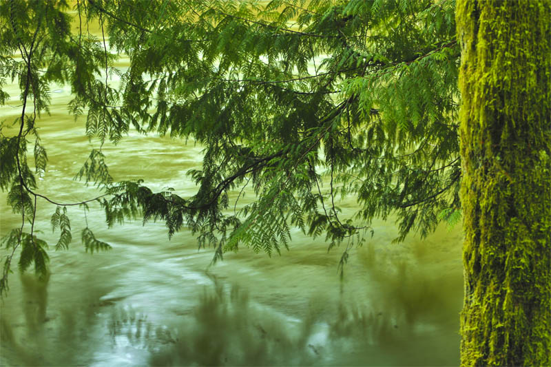 Don BrownBright Angel Park #4