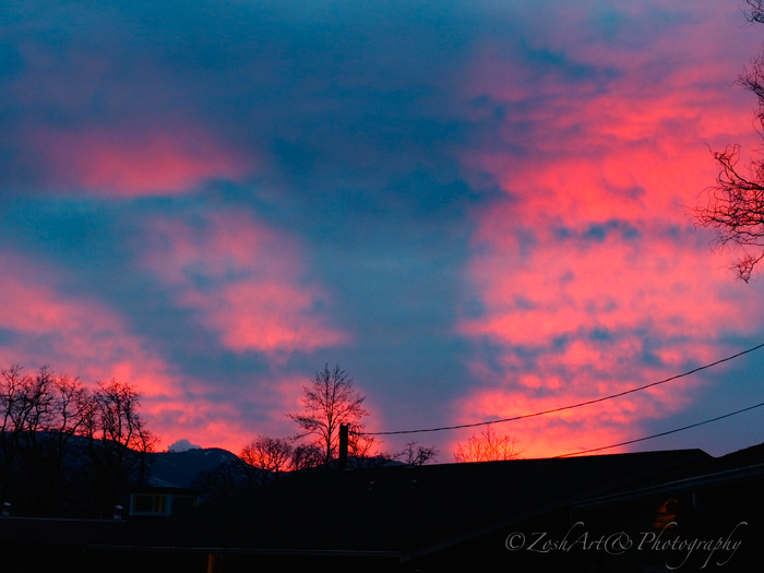 Zosia Miller  Backyard Sunset