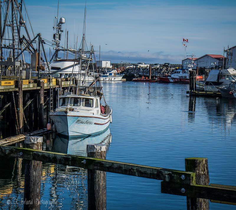 Racine ErlandParksville Marina