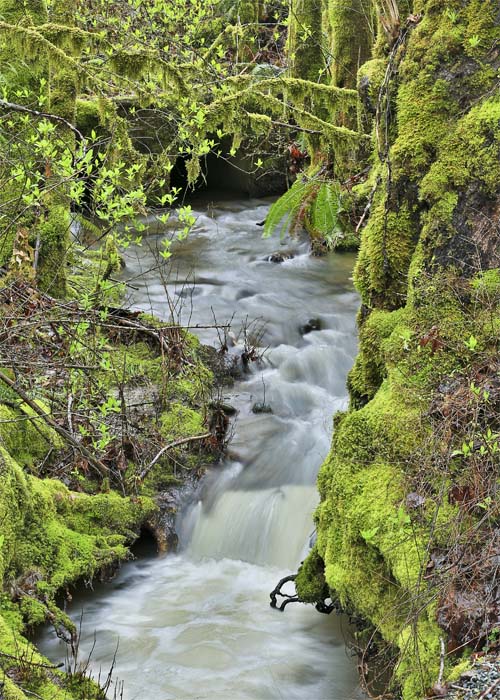 Don BrownStream