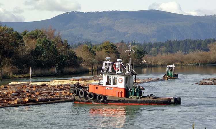 Willie HarvieBoom boat