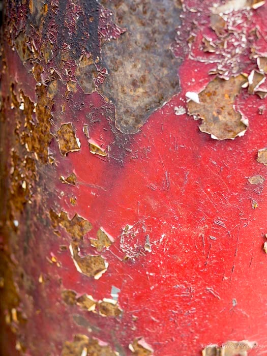 Zosia Miller Rusting Red Pail