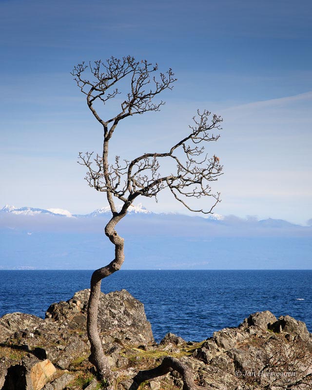 Jan HeerwagenMay 2016 Evening FavouritesTheme: LandscapesStanding Alone1st (Tied)