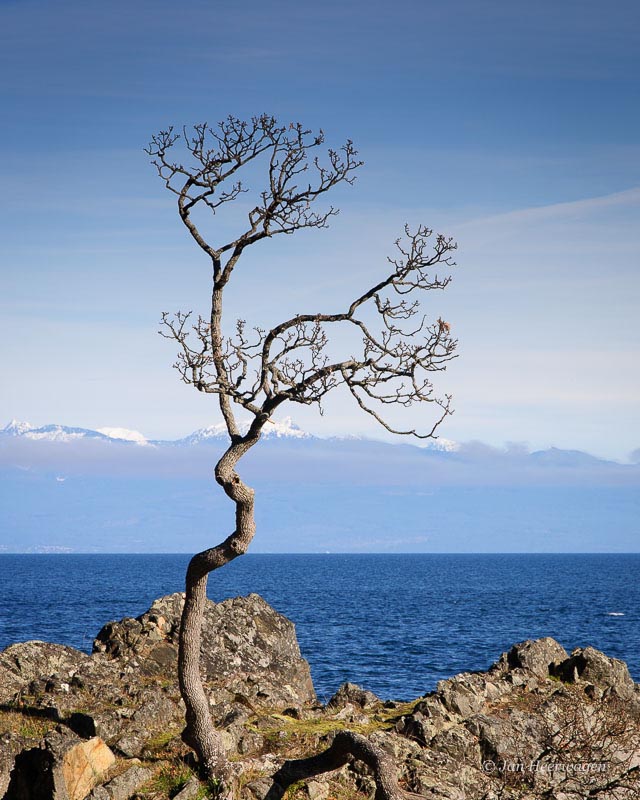 Jan HeerwagenMay 2016 Evening FavouritesTheme: LandscapesStanding Alone1st (Tied) 