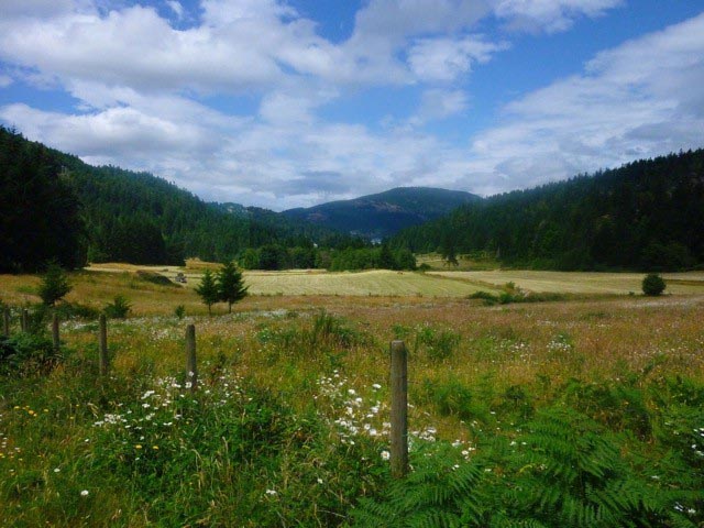 Patricia RankinMay 2016 Evening FavouritesTheme: LandscapesBirds Eye Cove Farm1st (Tied)