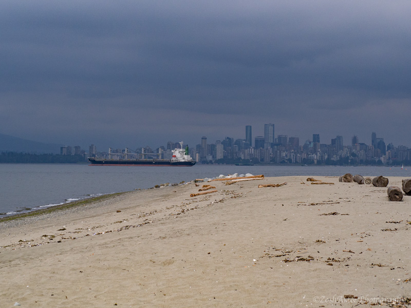 Zosia Miller  Vancouver Skyline from Spanish Banks
