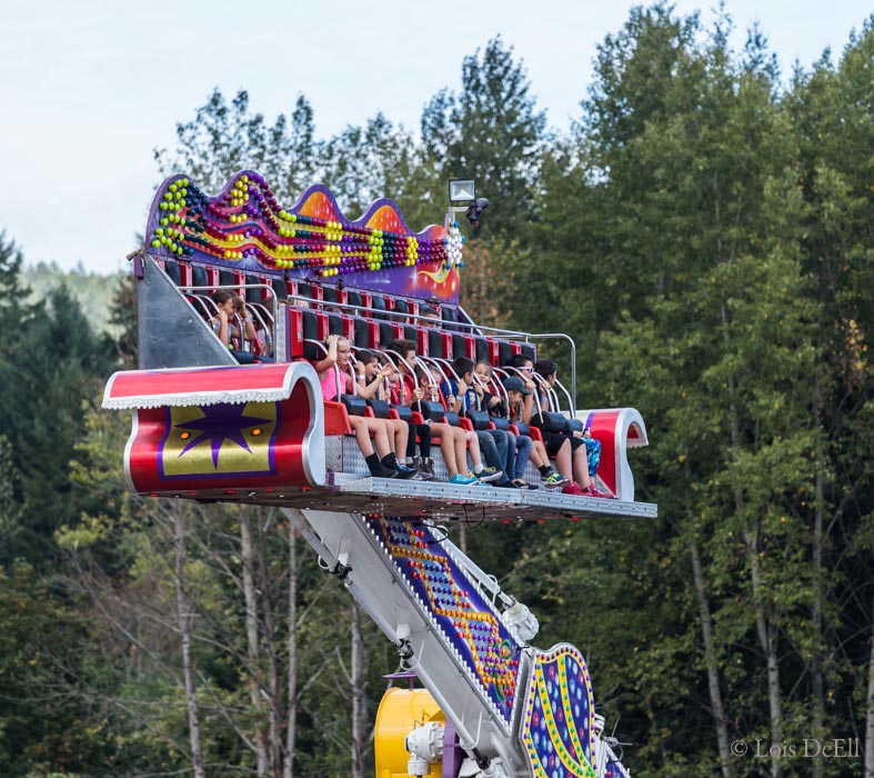 Lois DeEll9.  Midway Ride