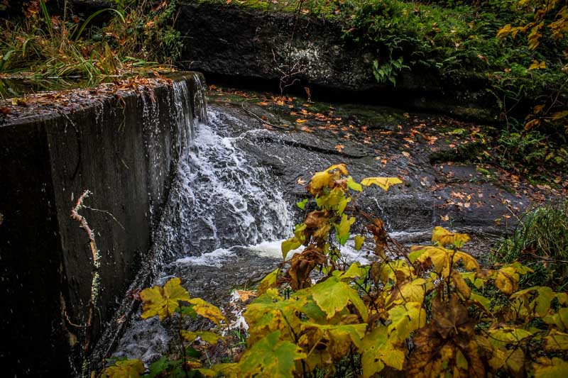 Carl Erland  Small Fall