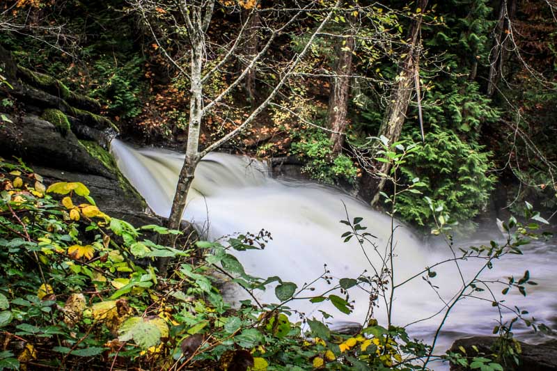 Carl Erland  Falls