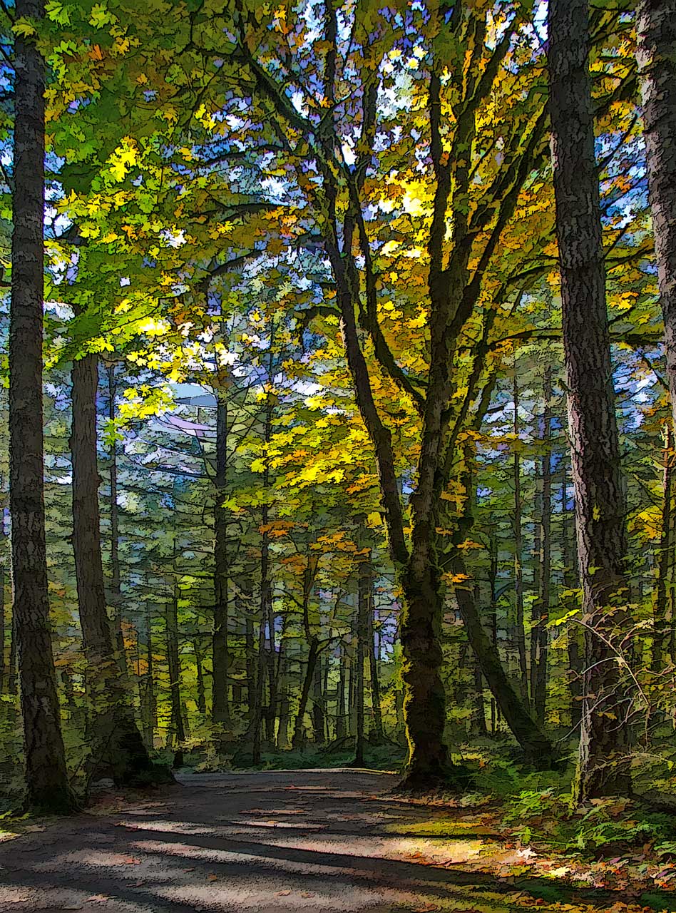 Heather Wade<br>Stoltz Campground Rd. Customized 