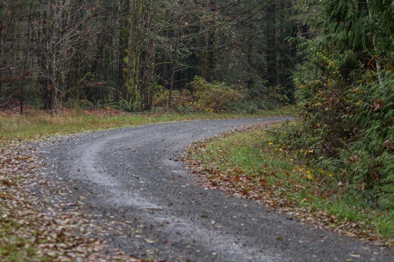 Carl Erland  Road to Spawning Channel