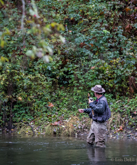 Qualicum Fish Hatchery - October 29, 2016