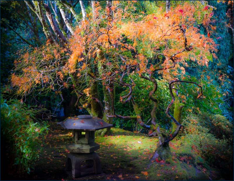 Ian FaulksJ Garden 2