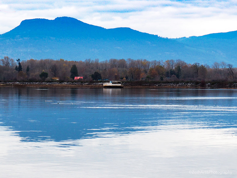 Zosia Miller Aground in Cowichan Bay