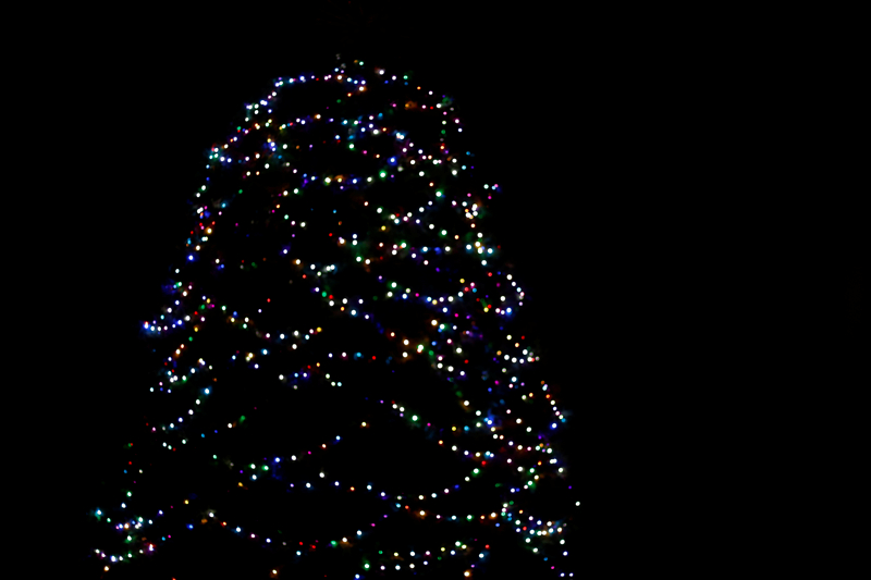Eleanor CreightonChristmas Tree lights