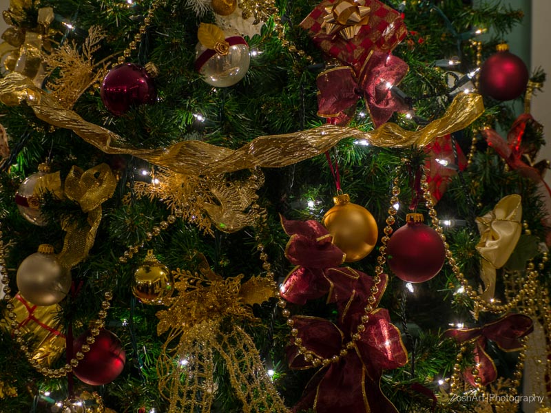 Zosia Miller  A Christmas Tree